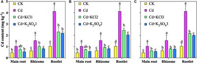 K Fertilizers Reduce the Accumulation of Cd in Panax notoginseng (Burk.) F.H. by Improving the Quality of the Microbial Community